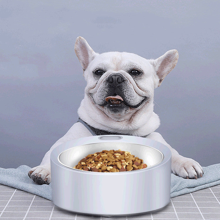 Large Capacity Dog Food Bowl